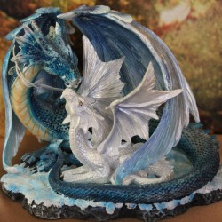 duo de dragons bleu et blanc.