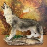 petit loup hurlant.