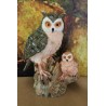 hibou grand duc